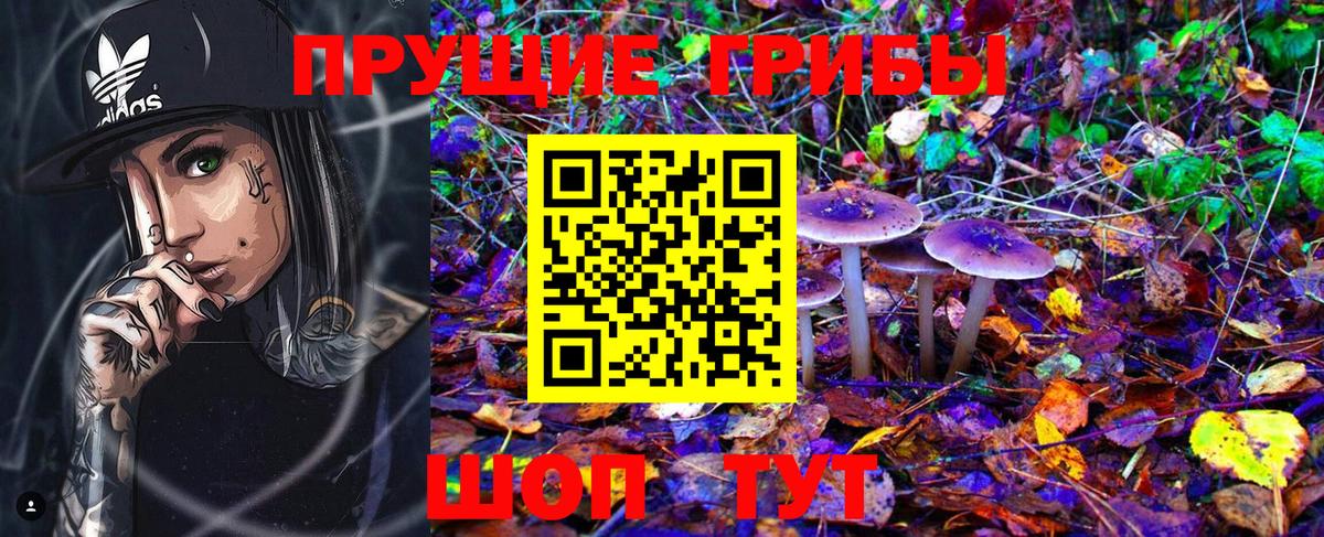 Кузнецк  Галлюциногенные грибы GOLDEN TEACHER  Вход с VPN 
